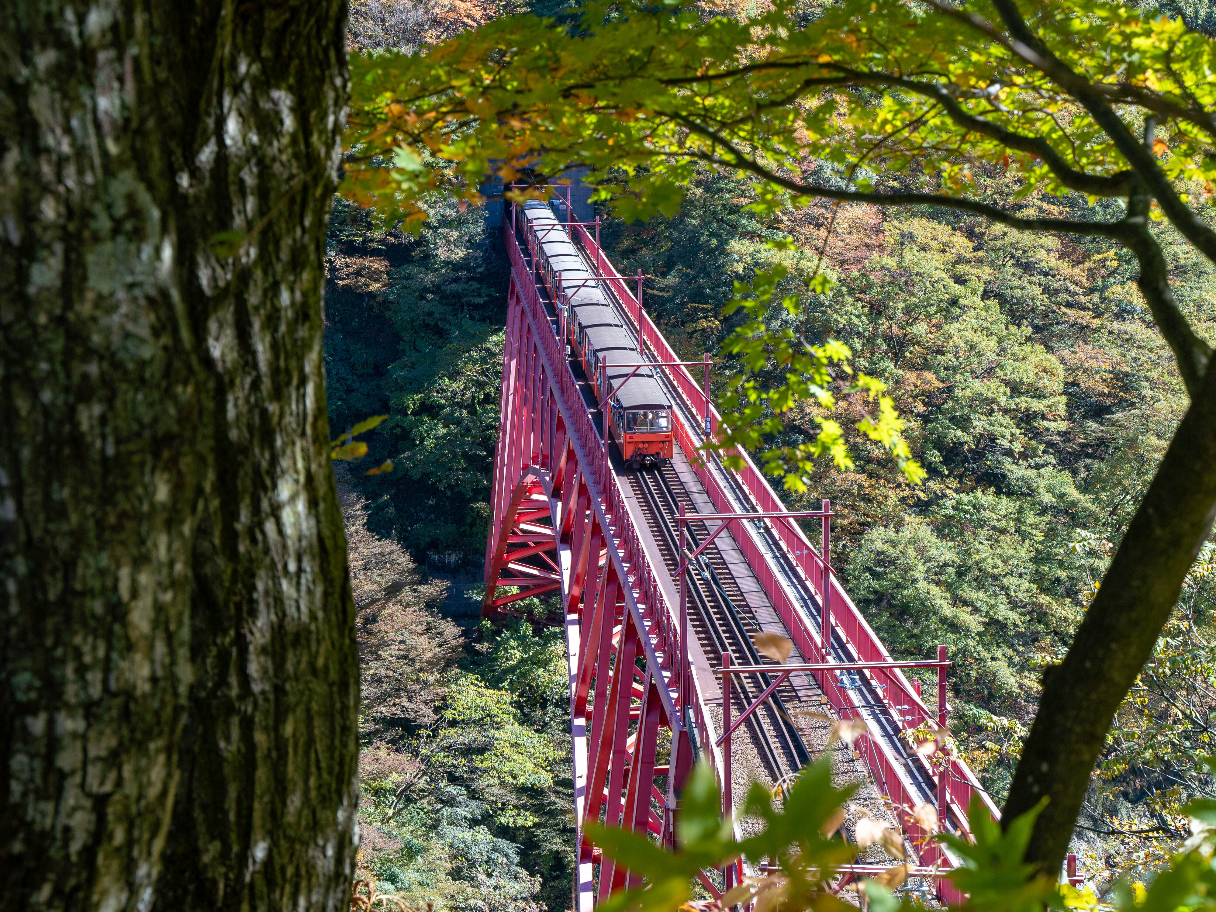 黒部峡谷鉄道　案内所勤務スタッフアルバイト募集　